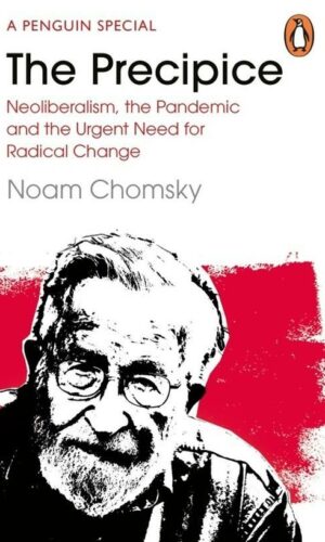 THE PRECIPICE <br> Noam Chomsky