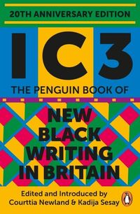 NEW BLACK WRITING IN BRITAIN <br> edited and introduced by Courttia Newland & Kadija Sesay