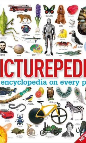 PICTUREPEDIA