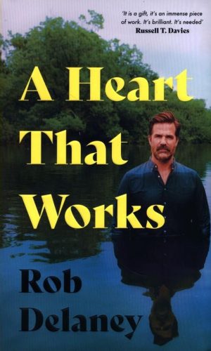 A HEART THAT WORKS <br>  Rob Delaney